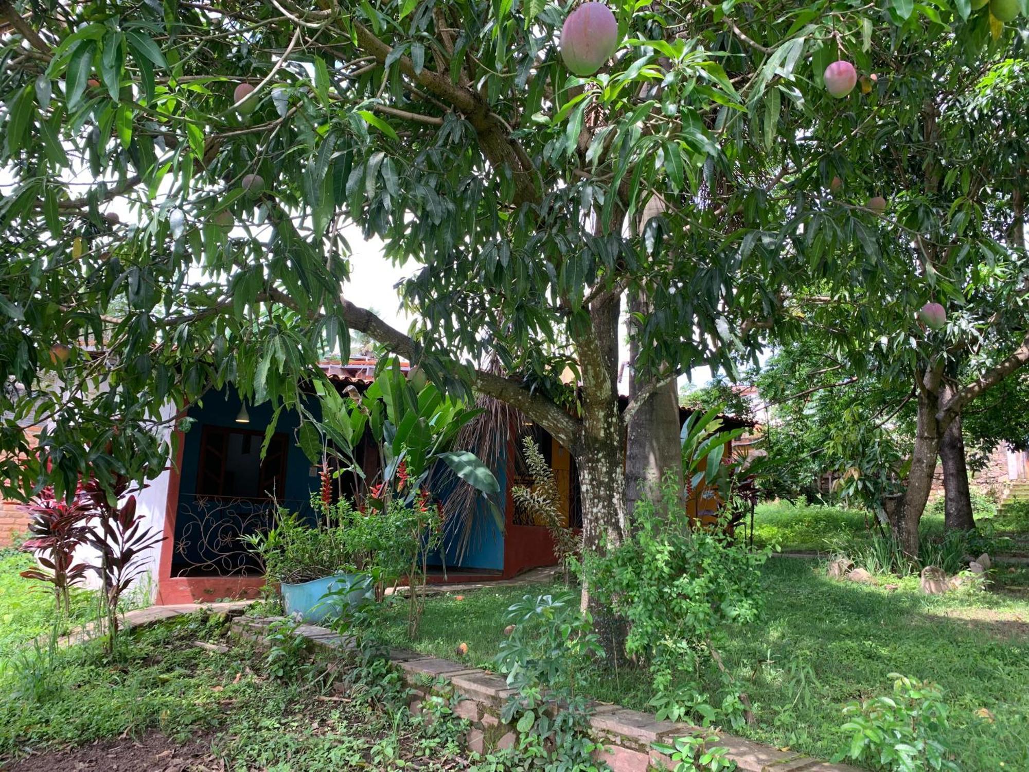 Pousada E Camping Lumiar لينكويس المظهر الخارجي الصورة